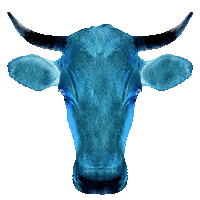 Vegan Urteil Sticker by Projekt Lebenslänglich