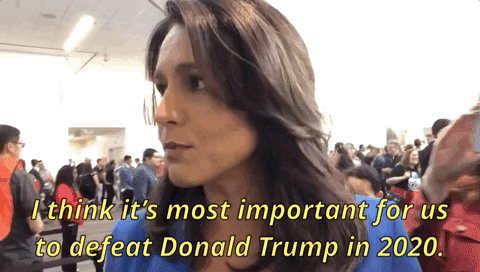 Impeach Donald Trump GIF by Election 2020