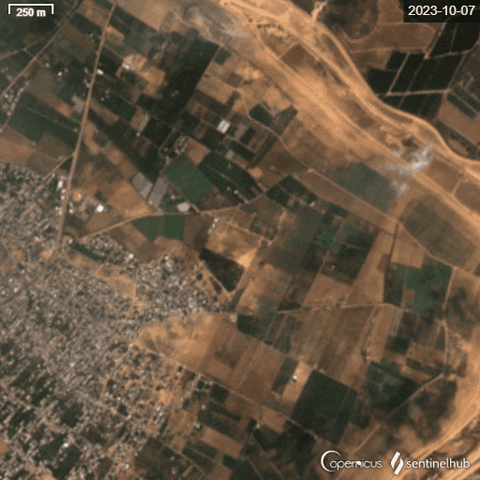 OBSERVATEURS giphyupload GIF