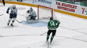 FOXSportsSW celebration celebrate hockey nhl GIF