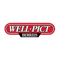 Strawberry Berry Sticker by Well Pict Berries