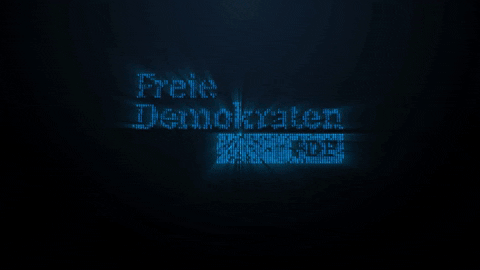 Freiedemokraten GIF by FDPGrote