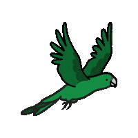 Mata Atlantica Ave Sticker by Parque das Aves