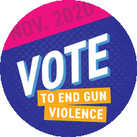 the99problems 2020 vote election democrat Sticker