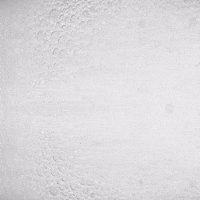 Promotional video of Coherencia Ecobar.