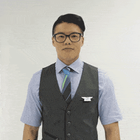 Tie Flight Attendant GIF by Alaska Airlines