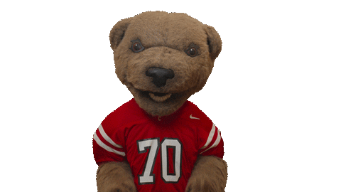 cornell university touchdown Sticker