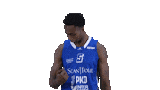 Sport Basketball Sticker by Basket_fi