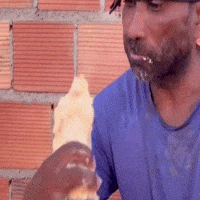 Obra Pedreiro GIF
