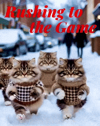 Made In Canada Kitty GIF by TresorsDuMonde.ca
