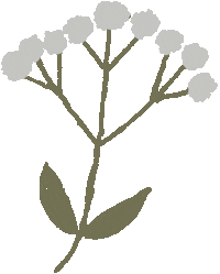 Flower 花 Sticker
