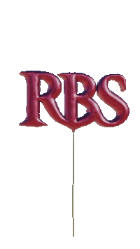 University Study Sticker by Riga Business School