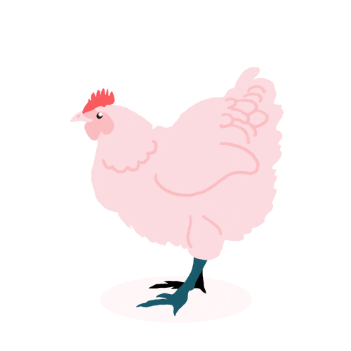 FreshOrganicMotion giphyupload animal chicken fresh Sticker