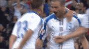 euro 2016 GIF by Sporza