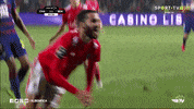 sl benfica rafa GIF by Sport Lisboa e Benfica