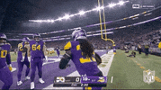 Minnesota Vikings Football GIF by NFL