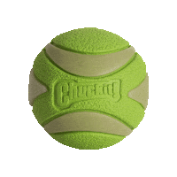 Nationalfetchday Sticker by Chuckit!