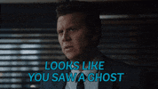scared ghost GIF by Angie Tribeca