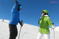 SkiBro skiing skibro GIF
