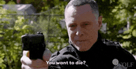 Die Dick Wolf GIF by Wolf Entertainment