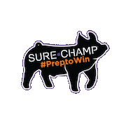 Pigs Livestock Sticker by Sure Champ