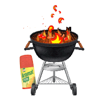 Spice Seasoning Sticker by Aromat South Africa