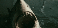 biting shark week GIF