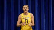 basketball sport GIF by Indiana Fever