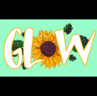 Sunflowercabana  GIF