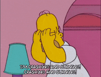 season 9 episode 22 GIF