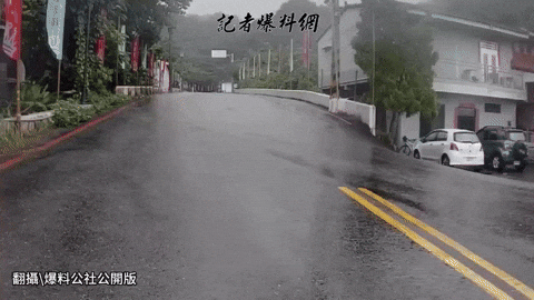 cuteanimalland giphyupload GIF