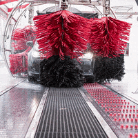 Tommys_Express car wash peekaboo carwash GIF