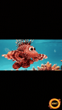 3Danimation GIF