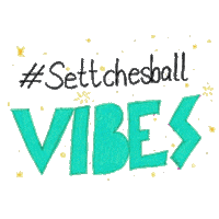 Settchesball vibes karneval fastnacht settchesball Sticker