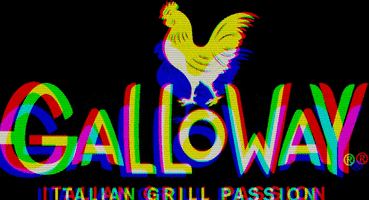 GallowayPalermo galloway GIF