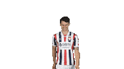 Tricolores Kingside Sticker by Willem II