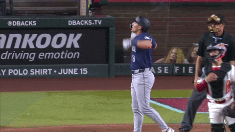 Celebrate Home Run GIF by MLB