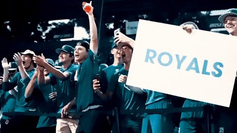 areacodebaseball giphygifmaker giphystrobetesting GIF