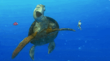 finding nemo animation GIF by Disney Pixar