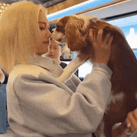 felixdaisies love felix lee felix yongbok GIF