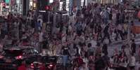 new york GIF