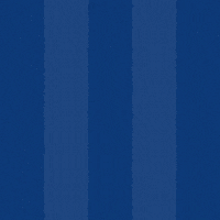 Football Soccer GIF by Odense Boldklub