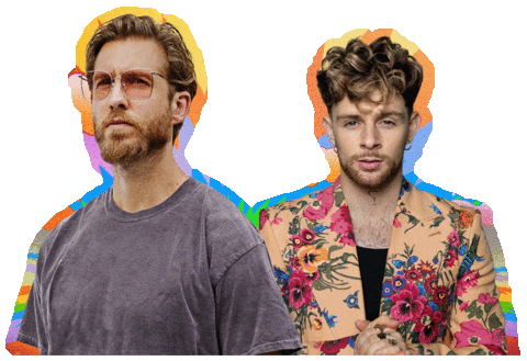 Tom Grennan Flower Sticker by Calvin Harris