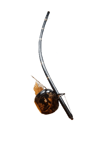 Capoeira Sticker by capoeiraluebeckmli