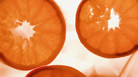 Orange Fruit GIF by Northwood Church
