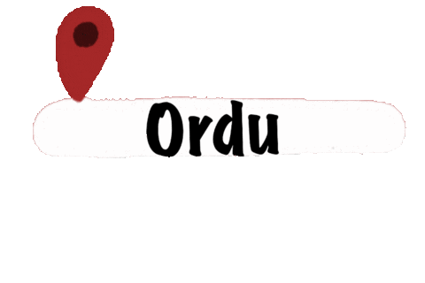 Mnks Iller 2 Sticker