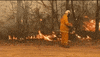 australia wildfires australia fires GIF