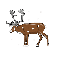 Merry Christmas Sticker