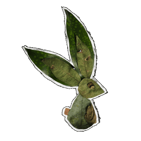 Animated Sticker