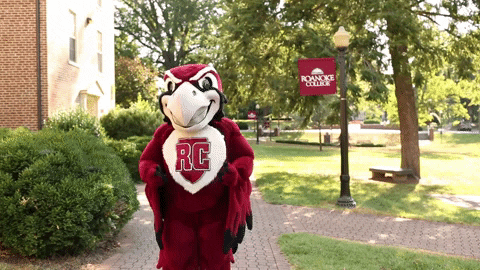 Bow Rooney GIF by Roanoke College